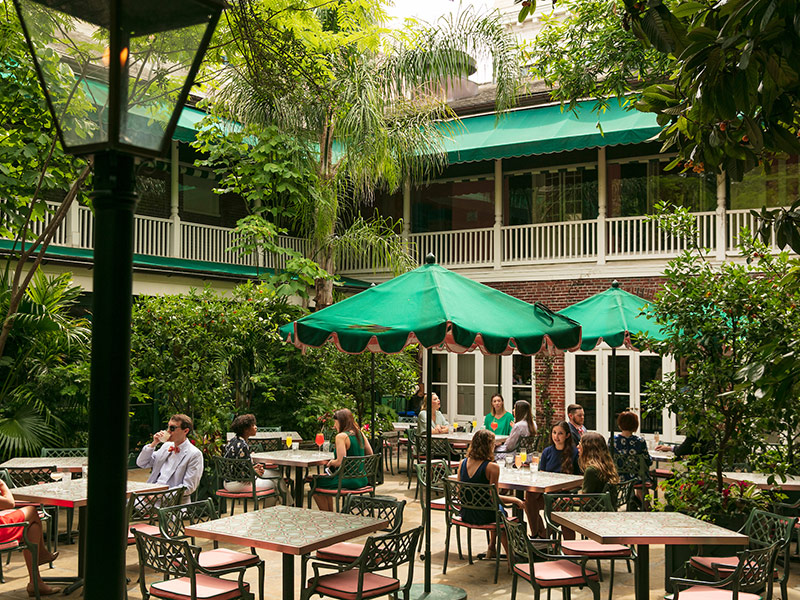 Shrimp dish on green plate